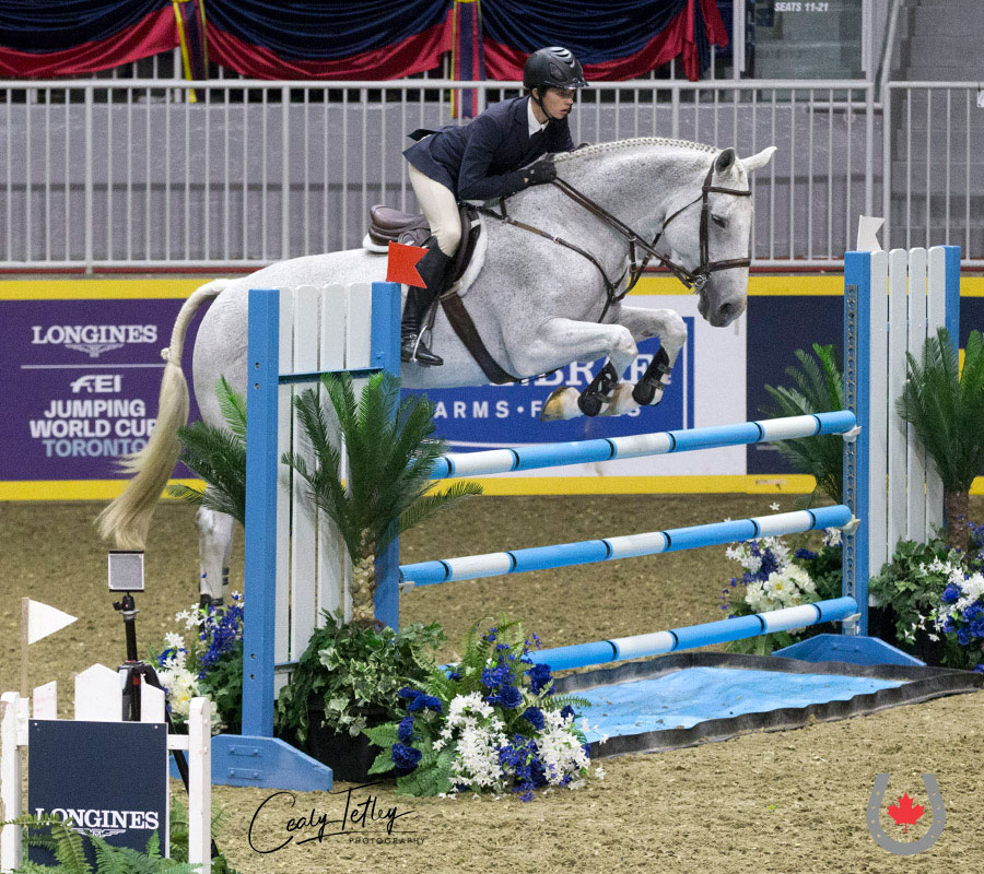 Top Five Reasons to Attend the 2019 EC Convention