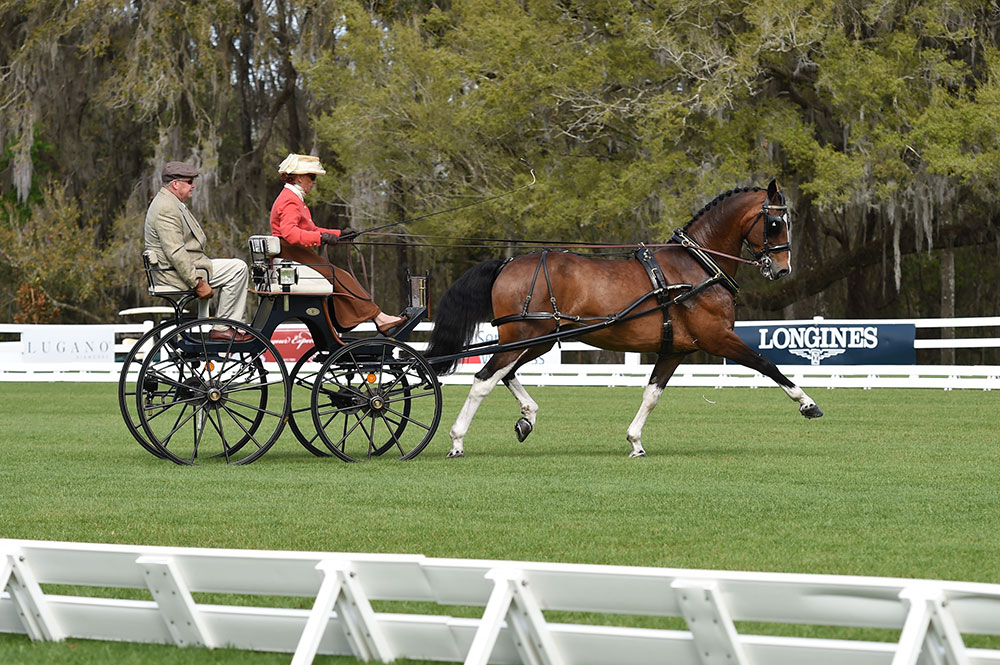 HRH Prince Philip and his Contribution to Carriage Driving