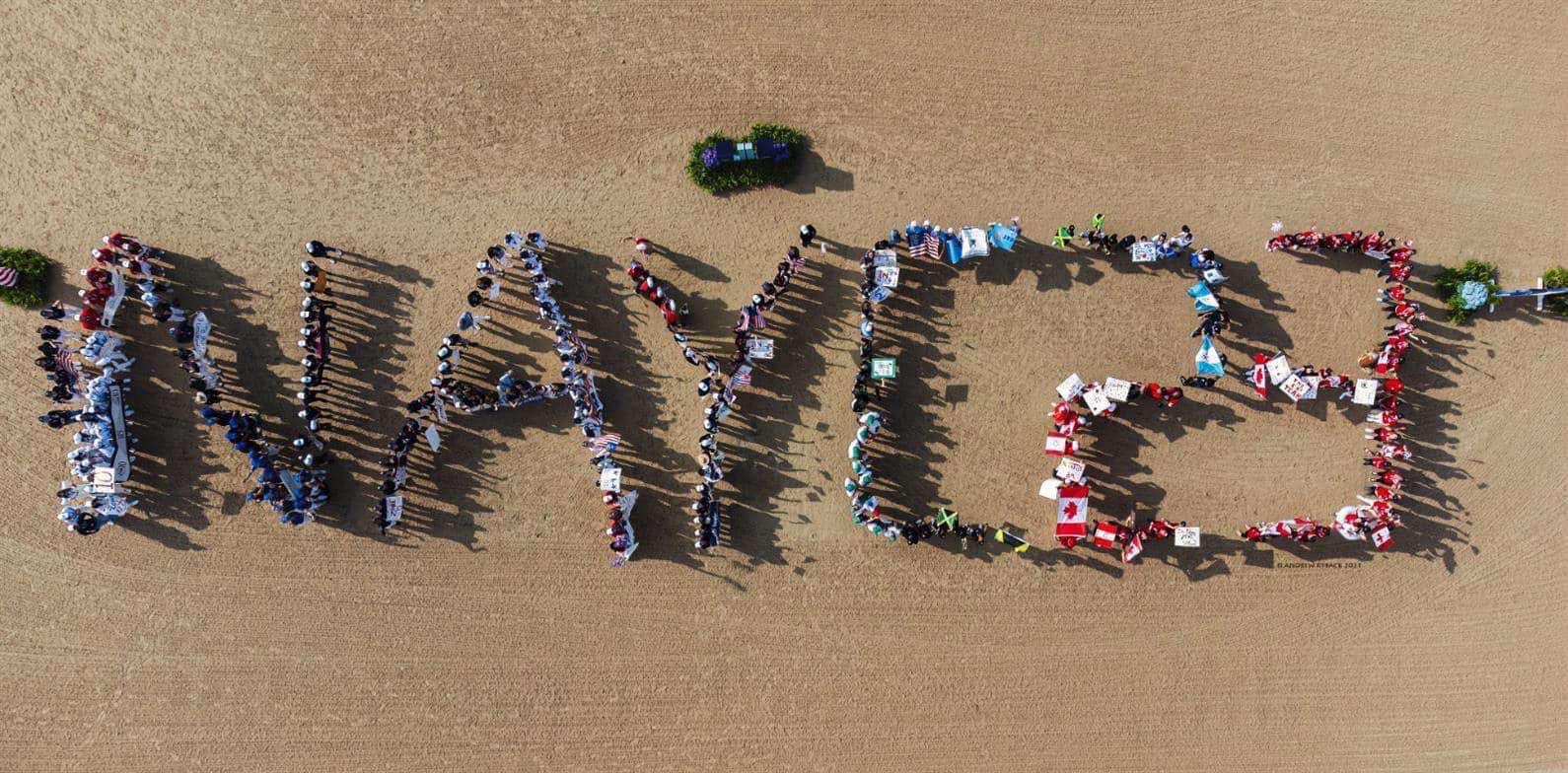 NAYC 2023: Canada Golden in Traverse City