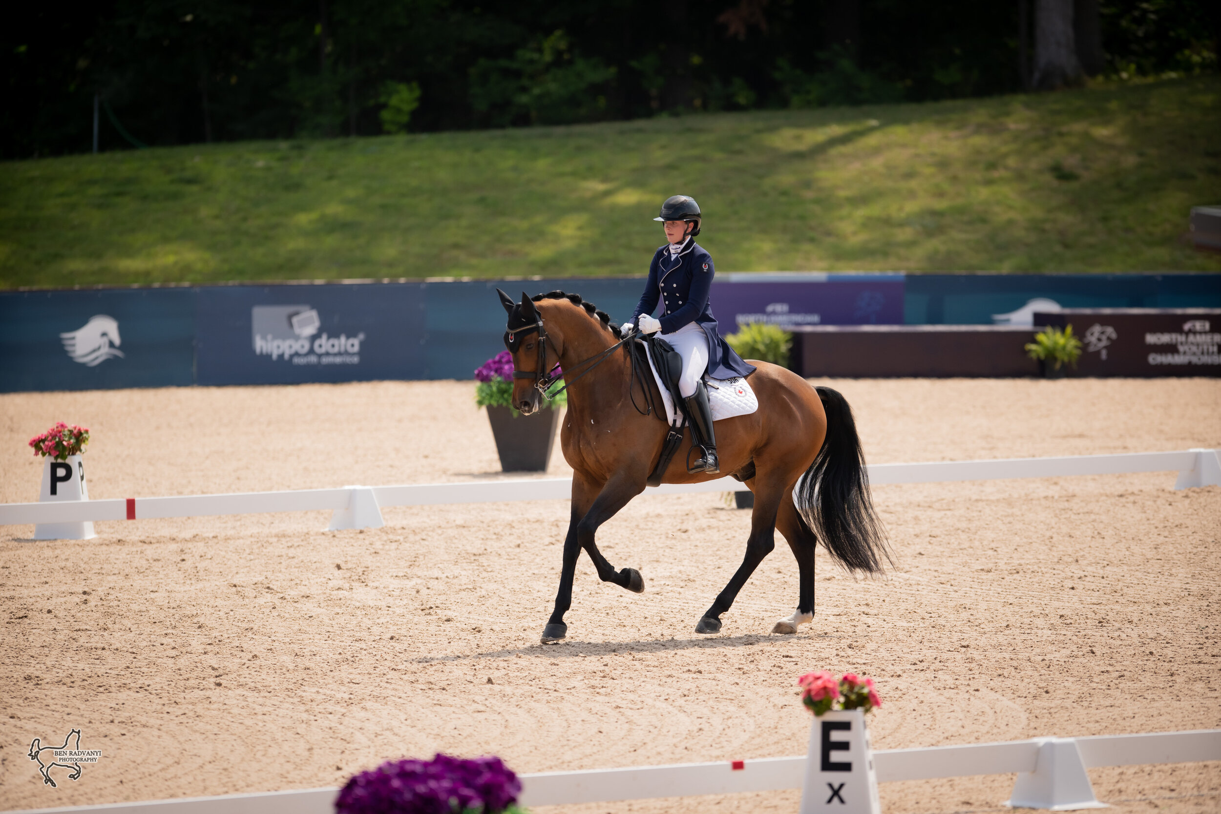 NAYC 2023: Canada Golden in Traverse City