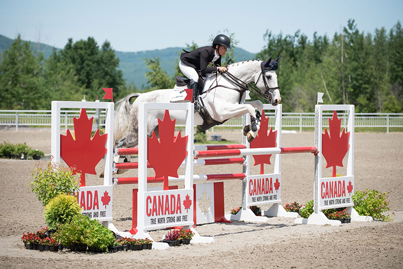 Dana Cooke is Groomed for the 2019 Pan American Games