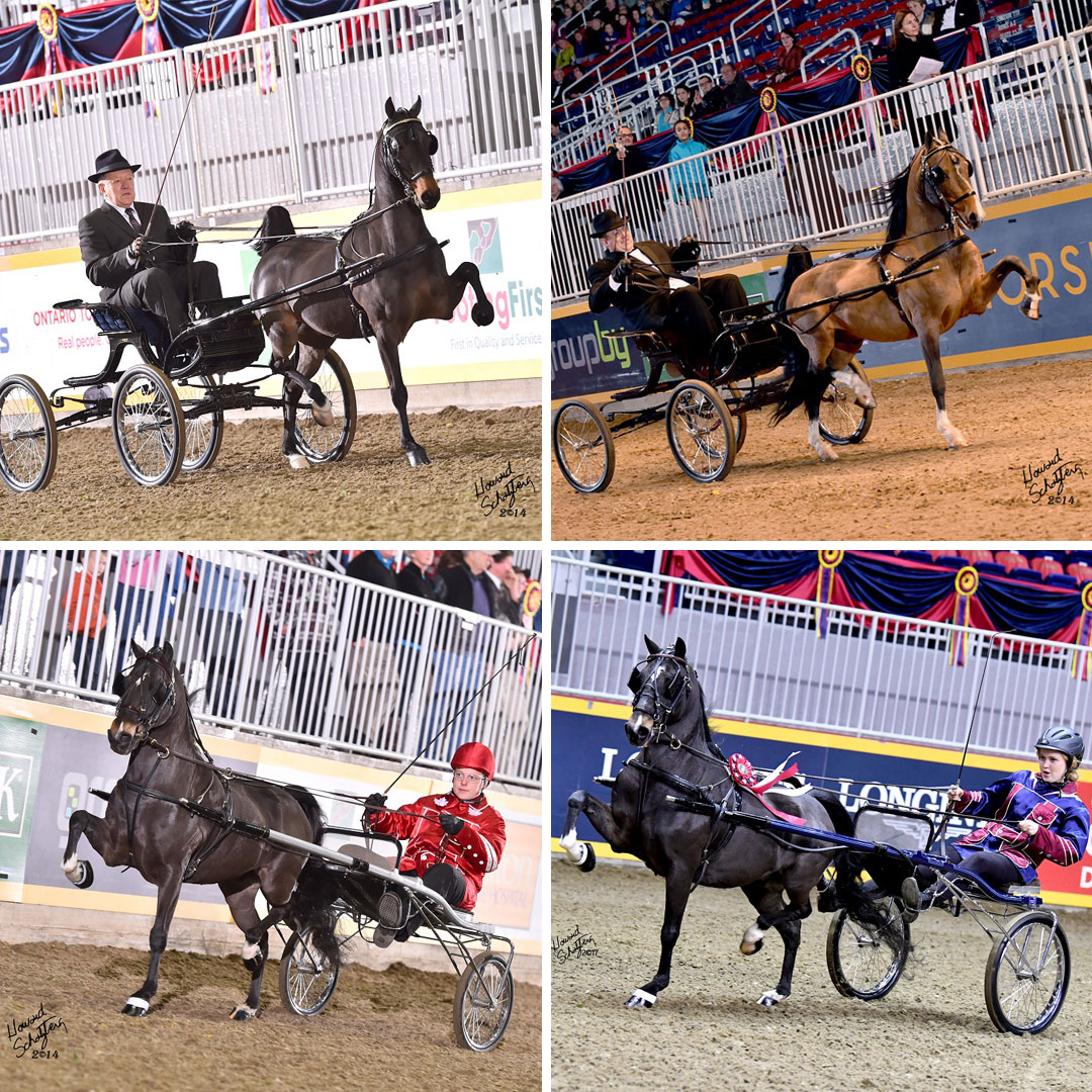 Home is Where the Hackneys Are for the McCormicks