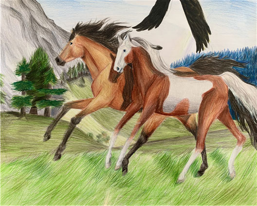 Virtual Horse Day 2020 Unites Equestrians Nationwide