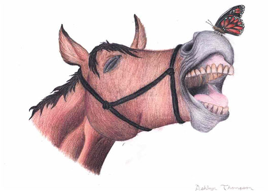 Virtual Horse Day 2020 Unites Equestrians Nationwide