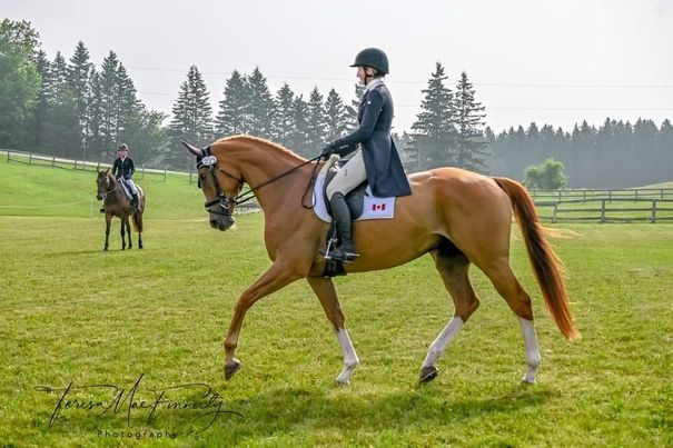 Horse of the Month: Retraining to Pre Training to World Stage