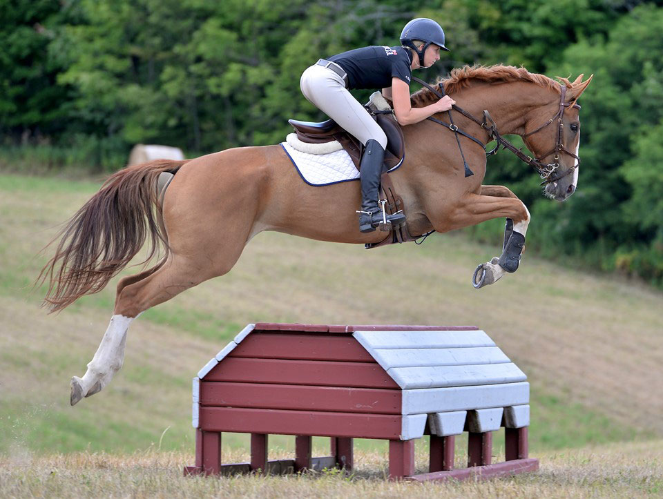 Horse of the Month: Retraining to Pre Training to World Stage