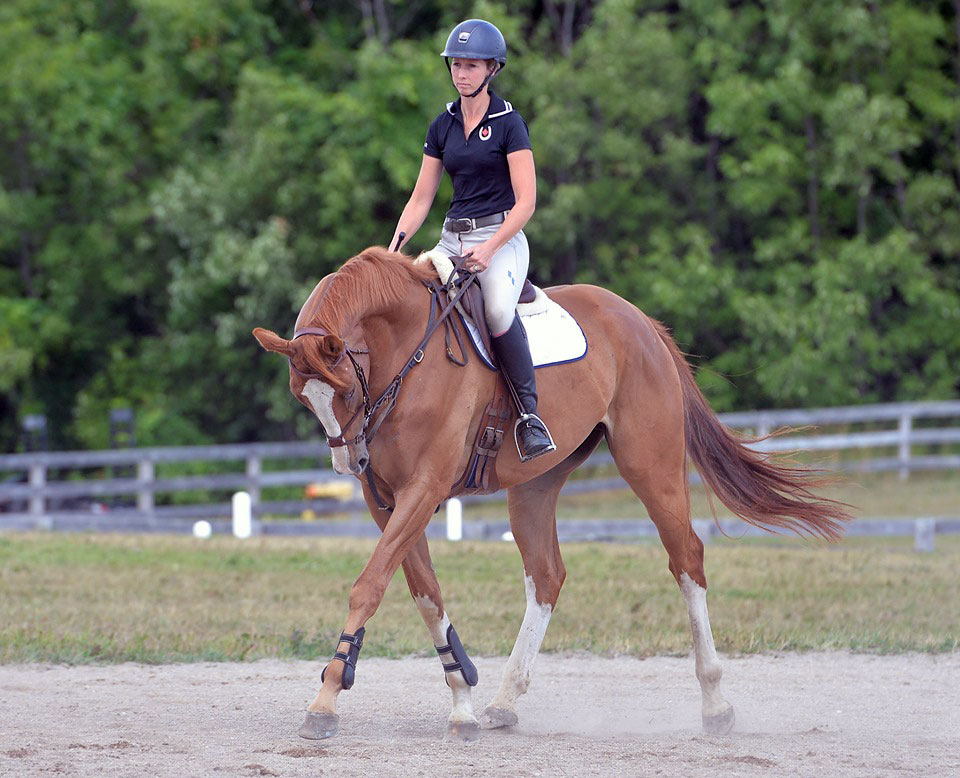 Horse of the Month: Retraining to Pre Training to World Stage