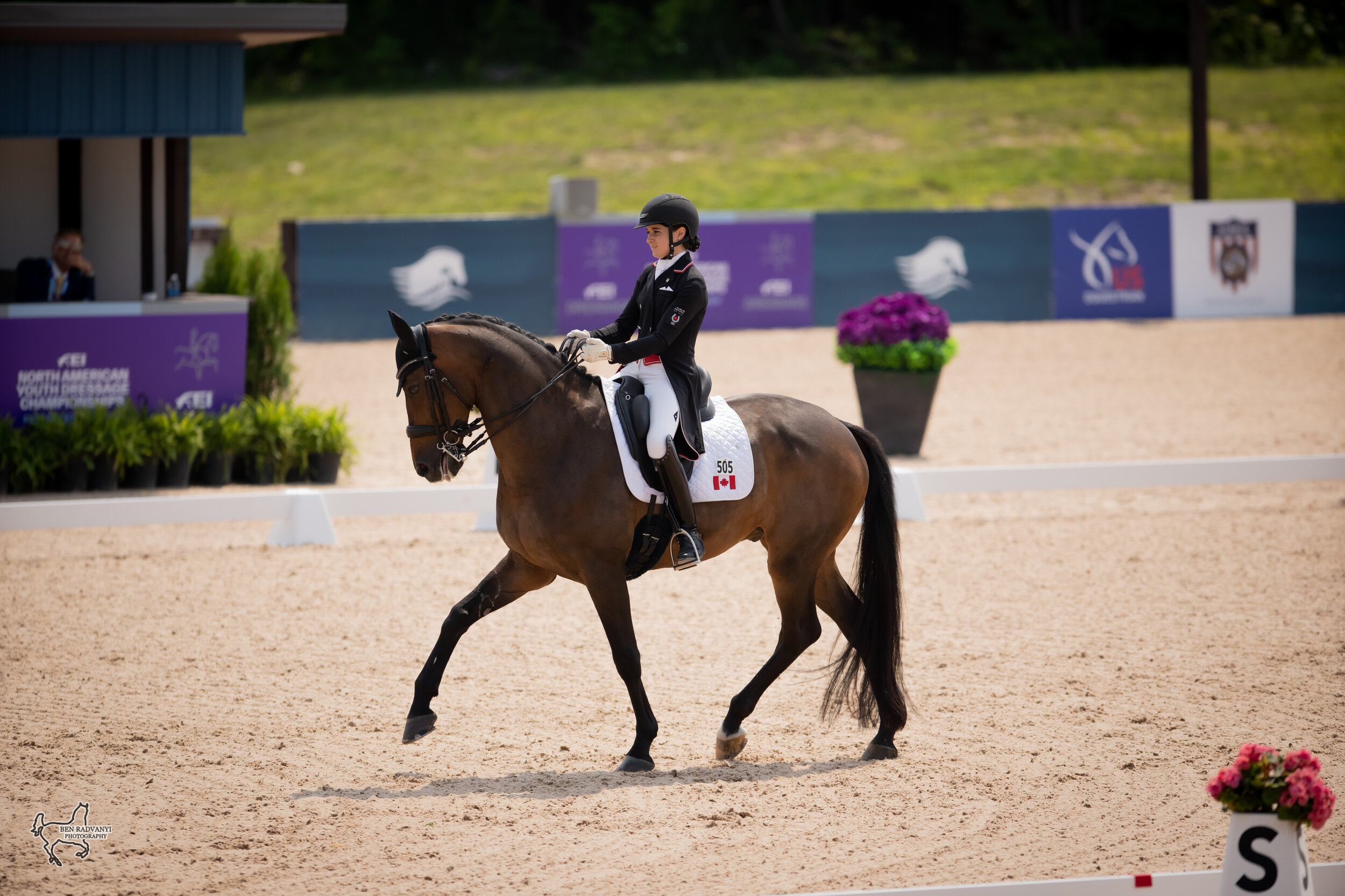 NAYC 2023: Canada Golden in Traverse City