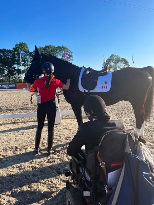 Understanding the Funding, Finances, and Function of Canada’s Equestrian Sport Organization