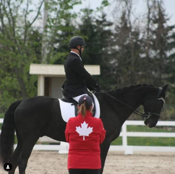 Understanding the Funding, Finances, and Function of Canada’s Equestrian Sport Organization