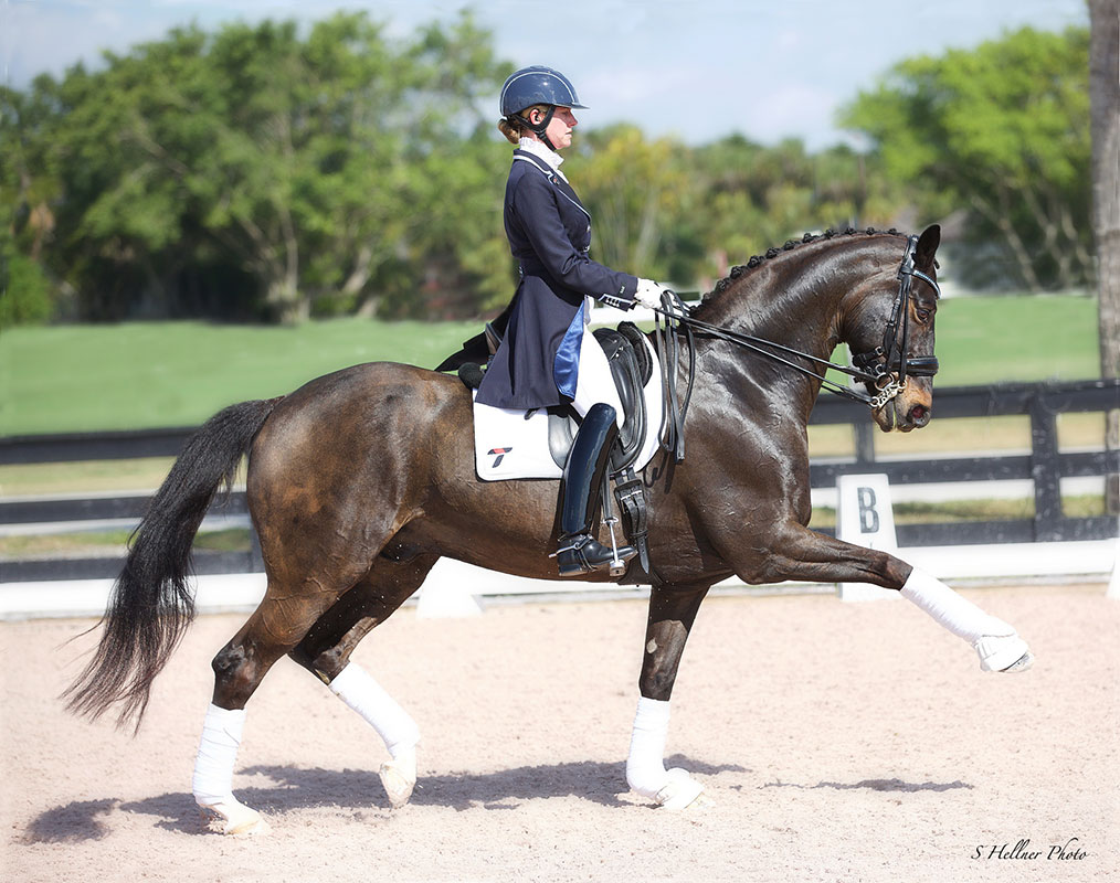 Small Tour Results Hold Big Promise for Tina Irwin and Laurencio Heading Toward 2019 Pan American Games