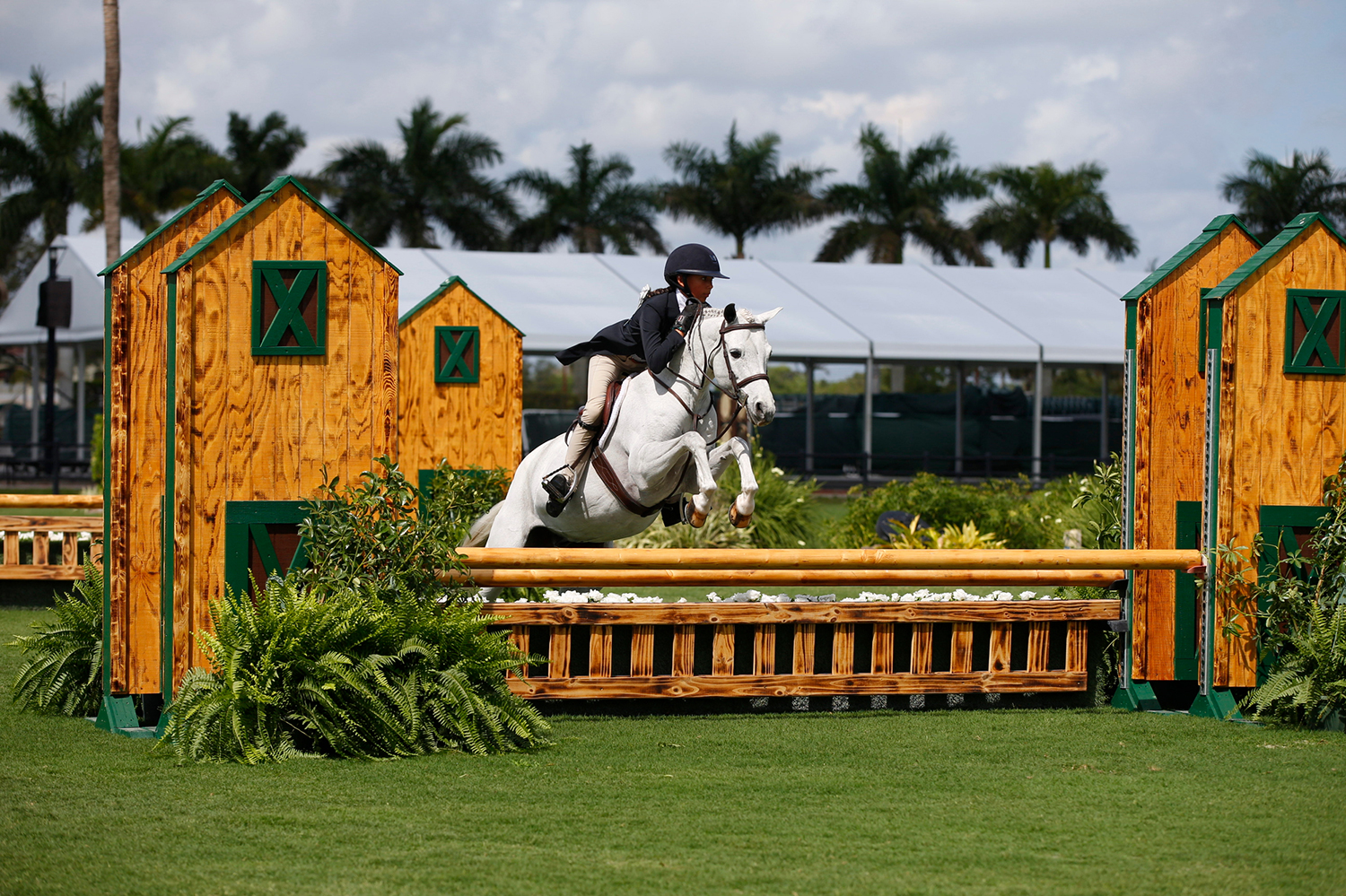 Benefits and Discounts: Breaking Down the USEF Reciprocal Agreement